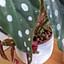 Hoe kweek je een Begonia Maculata in Leca?