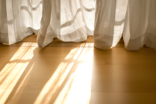 Bright indirect sunlight in a living room Bright indirect sunlight in a living room