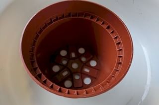 Cleaned the nursery pot Cleaned the nursery pot