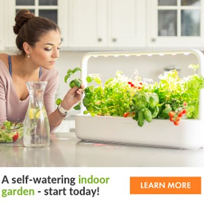 Smart Garden