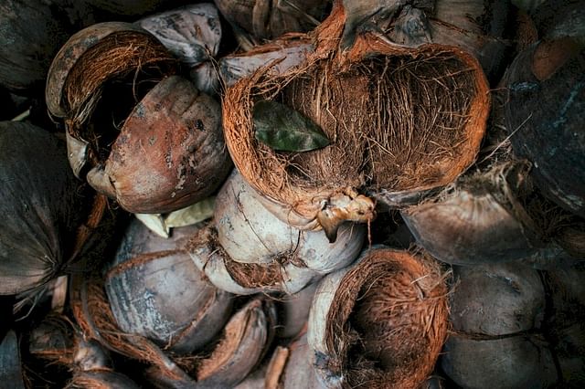 Coconut shells