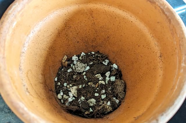 A base layer of soil inside the pot