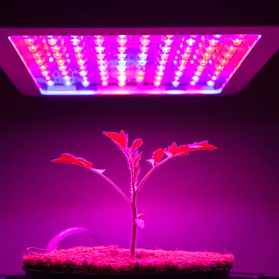 Grow Light with Stand, LBW Dual Heads Full Spectrum Grow Light, 200W LED Plant Lights for Indoor Plants, Auto On/Off Timer, 6 Dimmable Levels, 3 Switch Modes, Adjustable Tripod Stand 15-63 inches