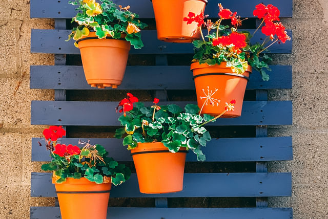 hanging-planter.jpg