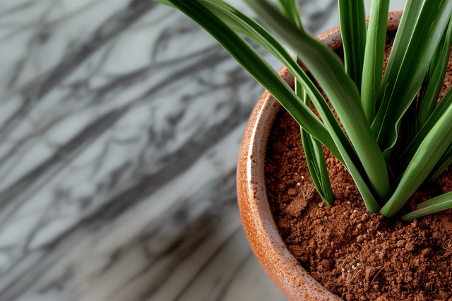Gezonde pluizige bodem Gezonde pluizige bodem