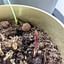 How to make your soil retain more water?