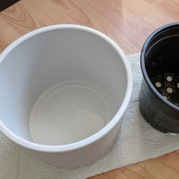 Terracotta vs keramische potten: een uitgebreide gids Terracotta vs keramische potten: een uitgebreide gids
