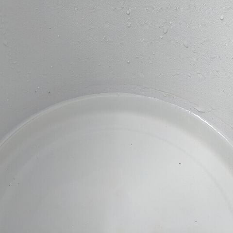How do you water a plant growing in Leca?
