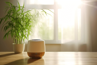 Humidifier next to a bamboo plant Humidifier next to a bamboo plant