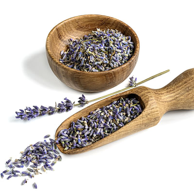 12 x Lavandula angustifolia ‘Munstead’ - Lavendel Pot 9 x 9 cm