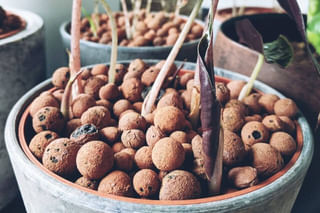 Pot filled with Leca Pot filled with Leca