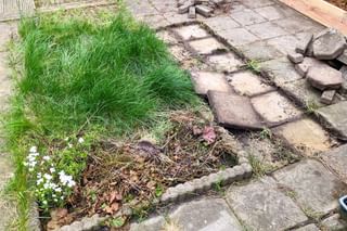 Lifting gray tiles from my backyard Lifting gray tiles from my backyard