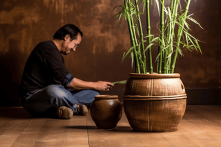 Man repotting bamboo in a larger pot Man repotting bamboo in a larger pot
