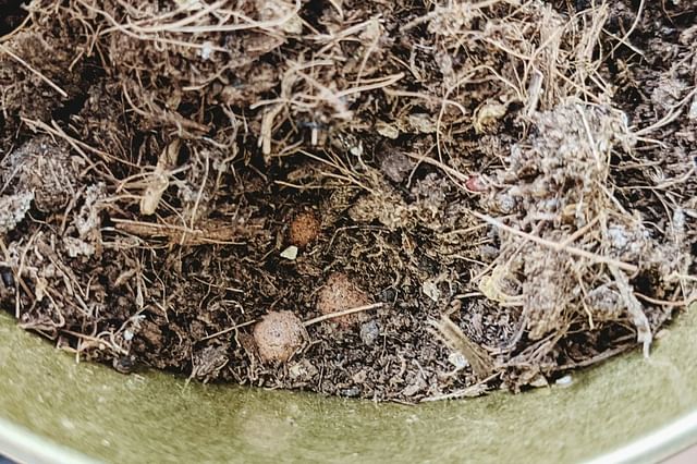 Moisture retaining soil
