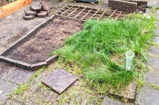 Planted grass seeds Planted grass seeds