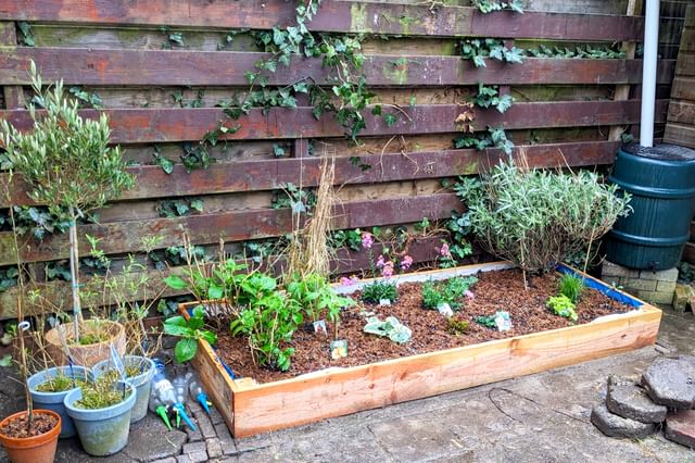 Nieuwe planten planten in de verhoogde tuin Nieuwe planten planten in de verhoogde tuin