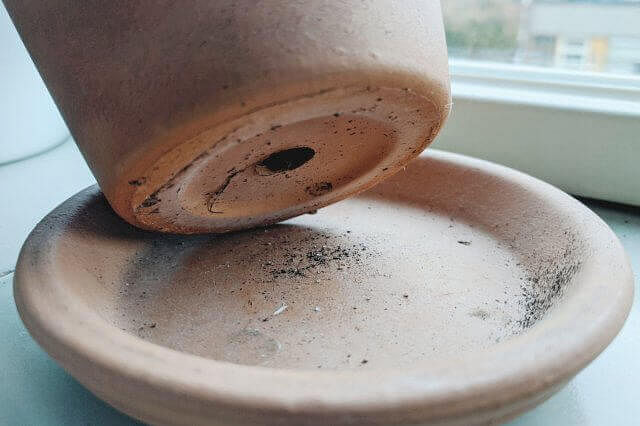 Pot with drainage hole