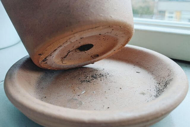 Pot with a drainage hole