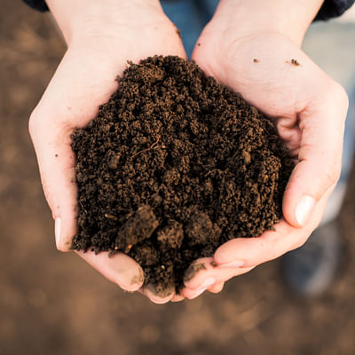 Find the perfect Soil mix for you on Amazon.co.uk