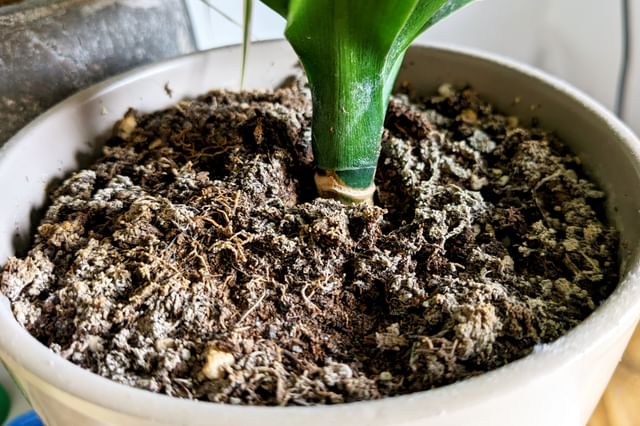 Zout in de bodem Zout in de bodem