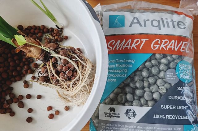 Je kamerplanten kweken met Smart Gravel