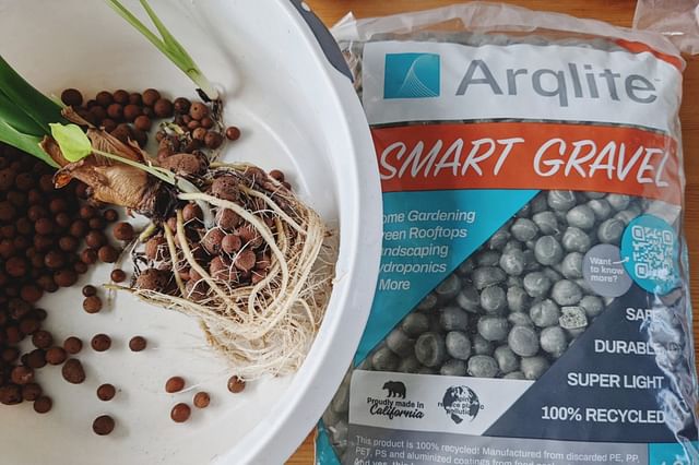 Growing your houseplants with Smart Gravel
