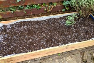 Soil in the raised bed mixed with perlite Soil in the raised bed mixed with perlite