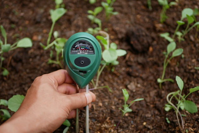 Soil moisture meter