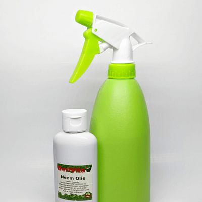 SPRAYZ Large 500ml Spray Bottles For Cleaning and Gardening, Plant, Water, Durable Trigger Sprayer, Refillable, Spray Upside Down, All Directions, Clear Plastic Bottle 2x 500ml