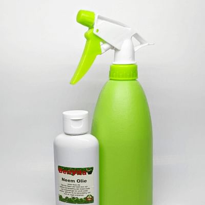 Neem oil