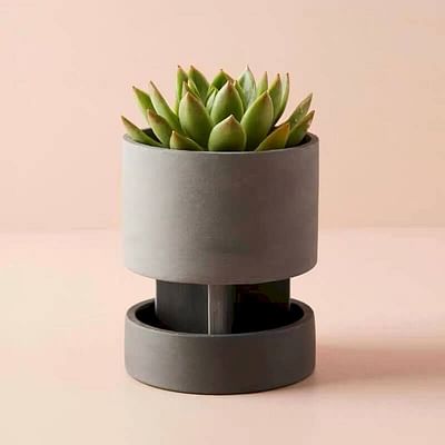 Terracotta pots