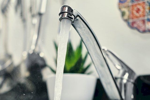 Tap water to water your plants