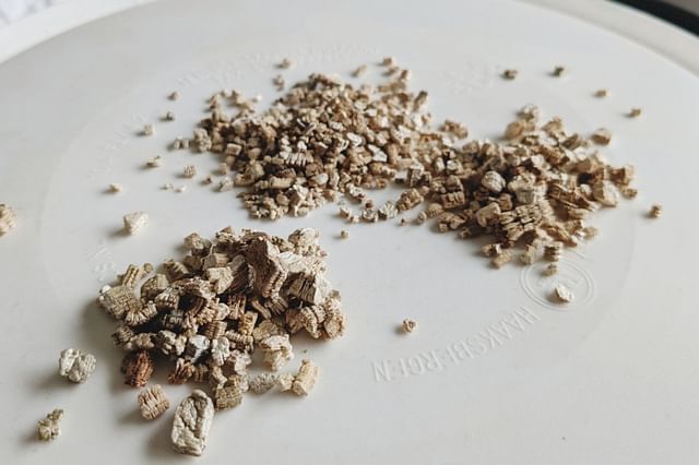 Qu'est-ce que la vermiculite pour les plantes ?
