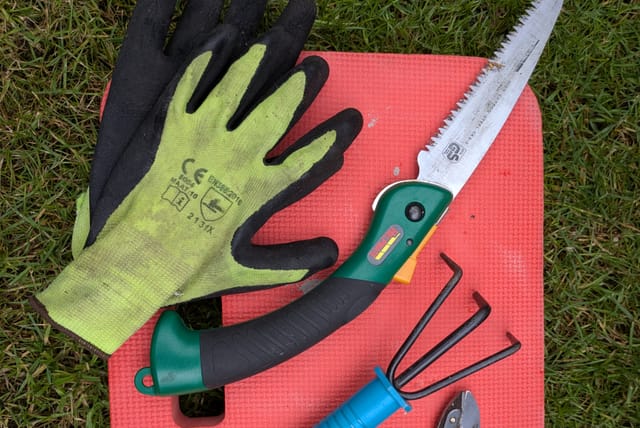 tools-for-tomato-planting.jpg