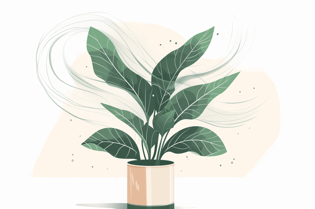 Illustratie van een transpirerende plant Illustratie van een transpirerende plant