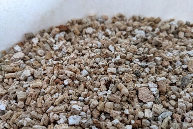 Les grosses graines fines vermiculite pour les plantes de la culture  hydroponique de démarrage moyen de la literie de reptile - Chine Étendue de  la vermiculite et de la vermiculite pour les semis prix