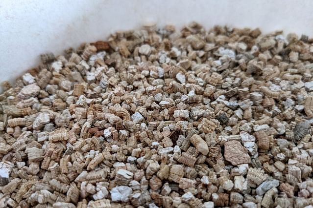 Vermiculite in a bucket