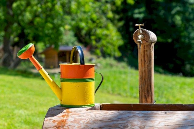 Watering can in the sun