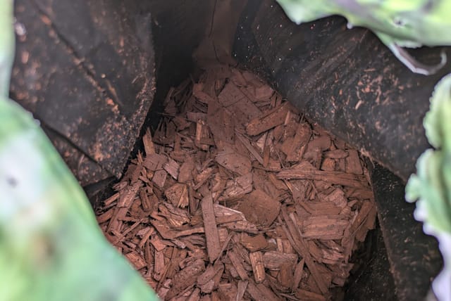wood-chips-in-bag.jpg