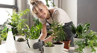 Smiling plant owner taking care of a plant