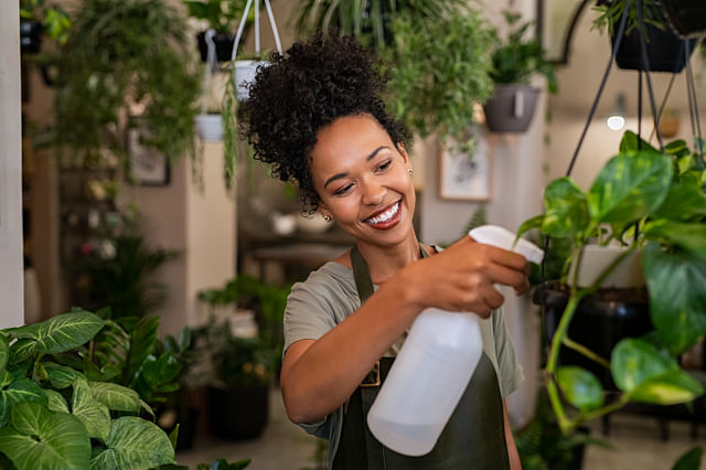 9 houseplants that are nearly impossible to kill