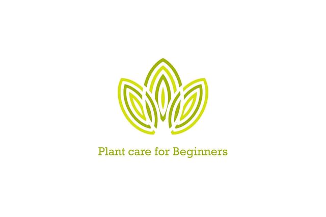The best humidity, tropical houseplant for you in 2022