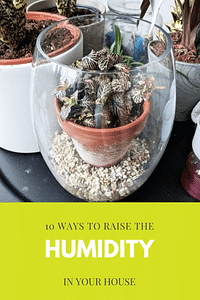10 ways to raise the humidity in your house
