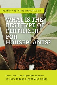 What is the best type of fertilizer for houseplants?