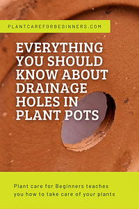 Everything you should know about drainage holes in plant pots