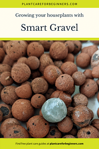 Growing your houseplants with Smart Gravel