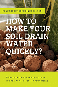 How to make your soil drain water quickly?