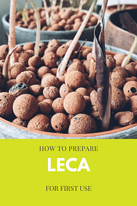 Hoe maak je Leca klaar voor het eerste gebruik