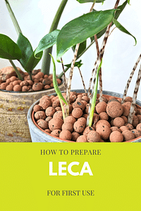 How to prepare Leca for first use