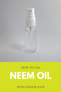 How to use Neem Oil with plants